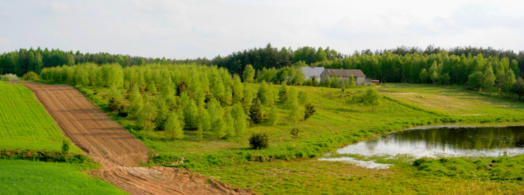 Wiese-Bauland.jpg